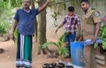ඉබිමස් එක්ක ඇල්ලූ ශ්රී මහ බෝධියේ ප්රධාන කපුවාට මොකද වුණේ.?