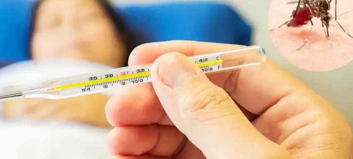 තත්ත්වය අවදානම්.. ඩෙංගු මරණ දිනෙන් දින ඉහළ⁣ට
