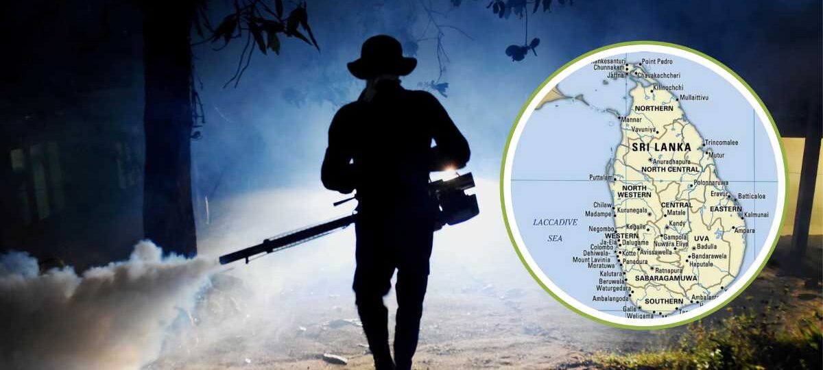 ඩෙංගු අධි අවදානම් කලාප 23ක් ආවරණය වන පරිදි හෙට සිට විශේෂ මෙහෙයුමක්