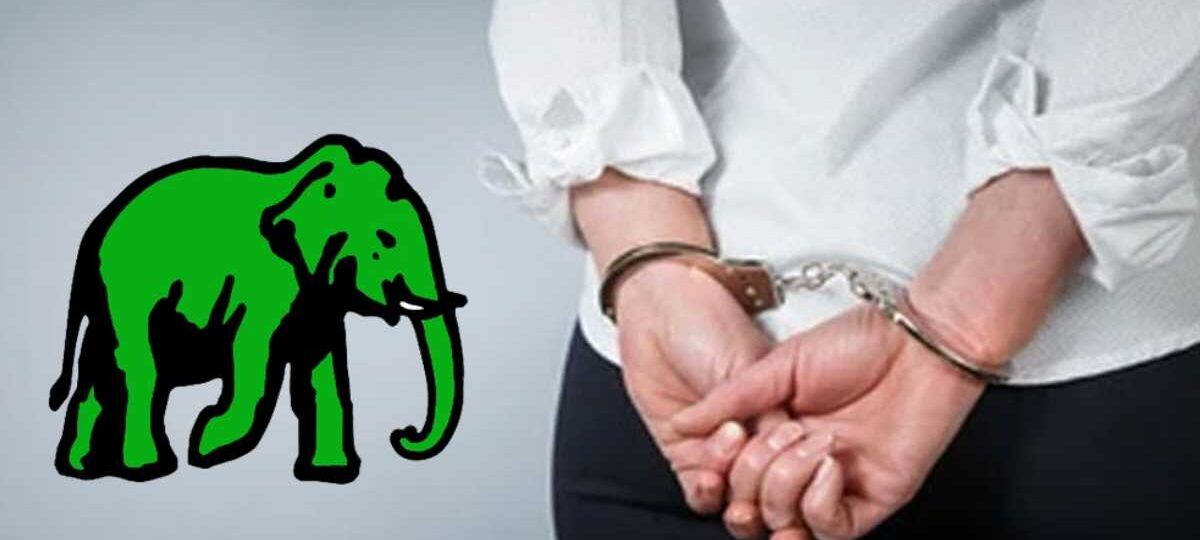 කෝටි ගණනක මුදල් වංචාවක්.. එජාප හිටපු මන්ත්‍රීනී අත්අඩංගුවට